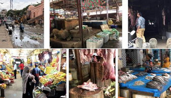 印度生鲜杂货市场 基兰业态主导下的食品百货消费图景